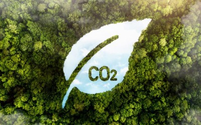 Cómo reducir la huella de carbono usando la tecnología y la CX | Tendencias