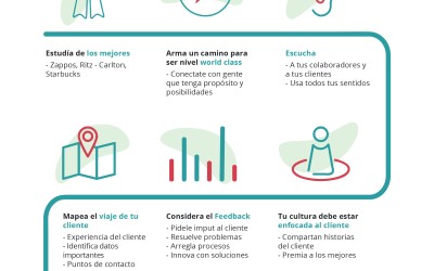 Infografía: Como convertirse en un líder de Customer Experience | Infografías