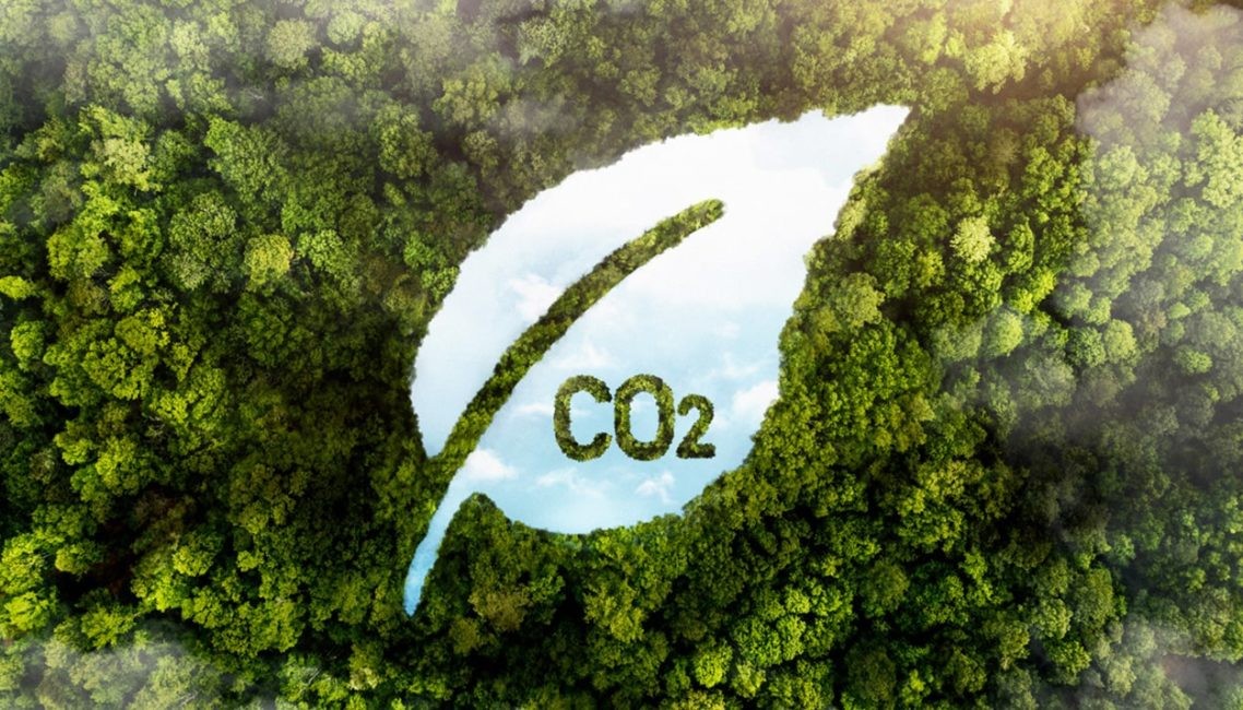 Cómo reducir la huella de carbono usando la tecnología y la CX | Tendencias