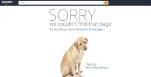 amazon-404-300x153-1