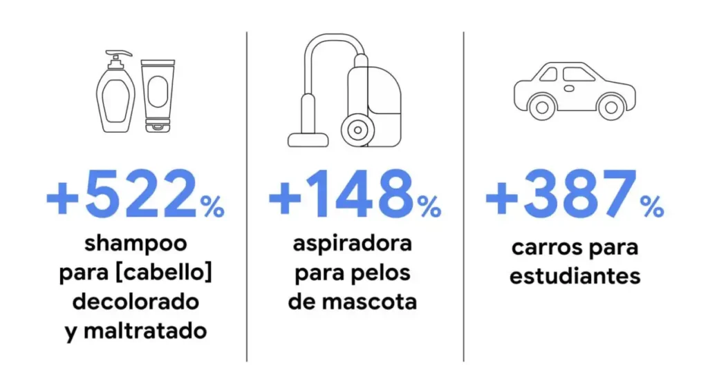busquedas-detalladas-