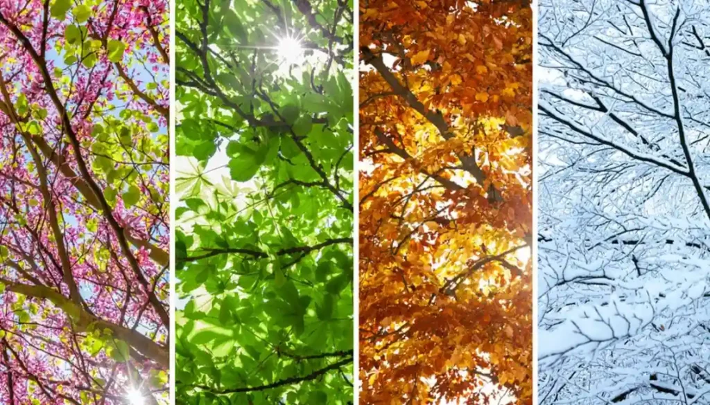 marketing-estacional-blog-wow