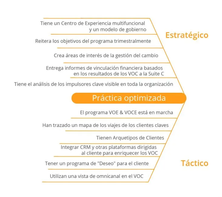practica-cx-optimizada